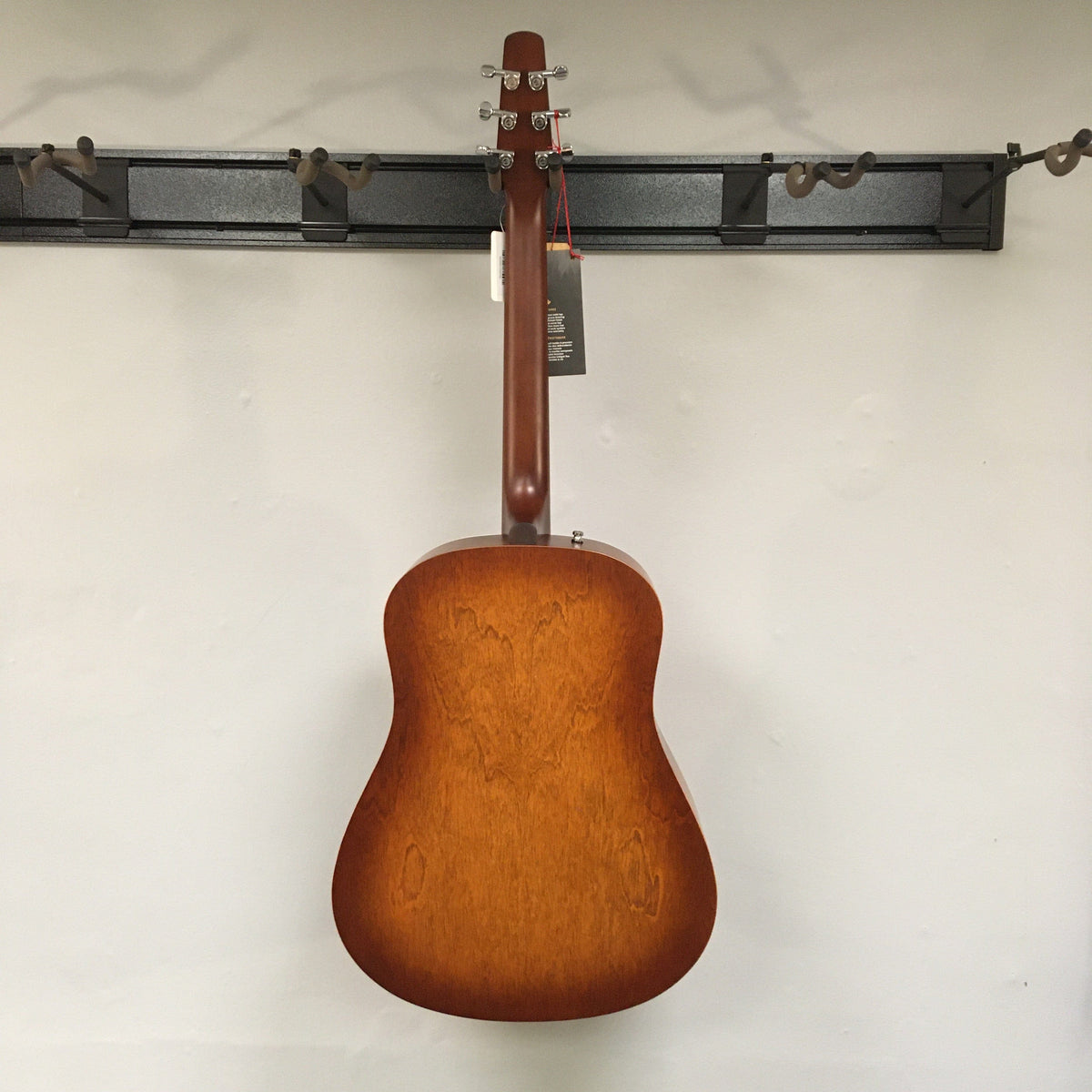 Seagull Entourage Autumn Burst Acoustic Guitar on display, showcasing its dreadnought shape and detailed craftsmanship, suitable for various acoustic playing situations.